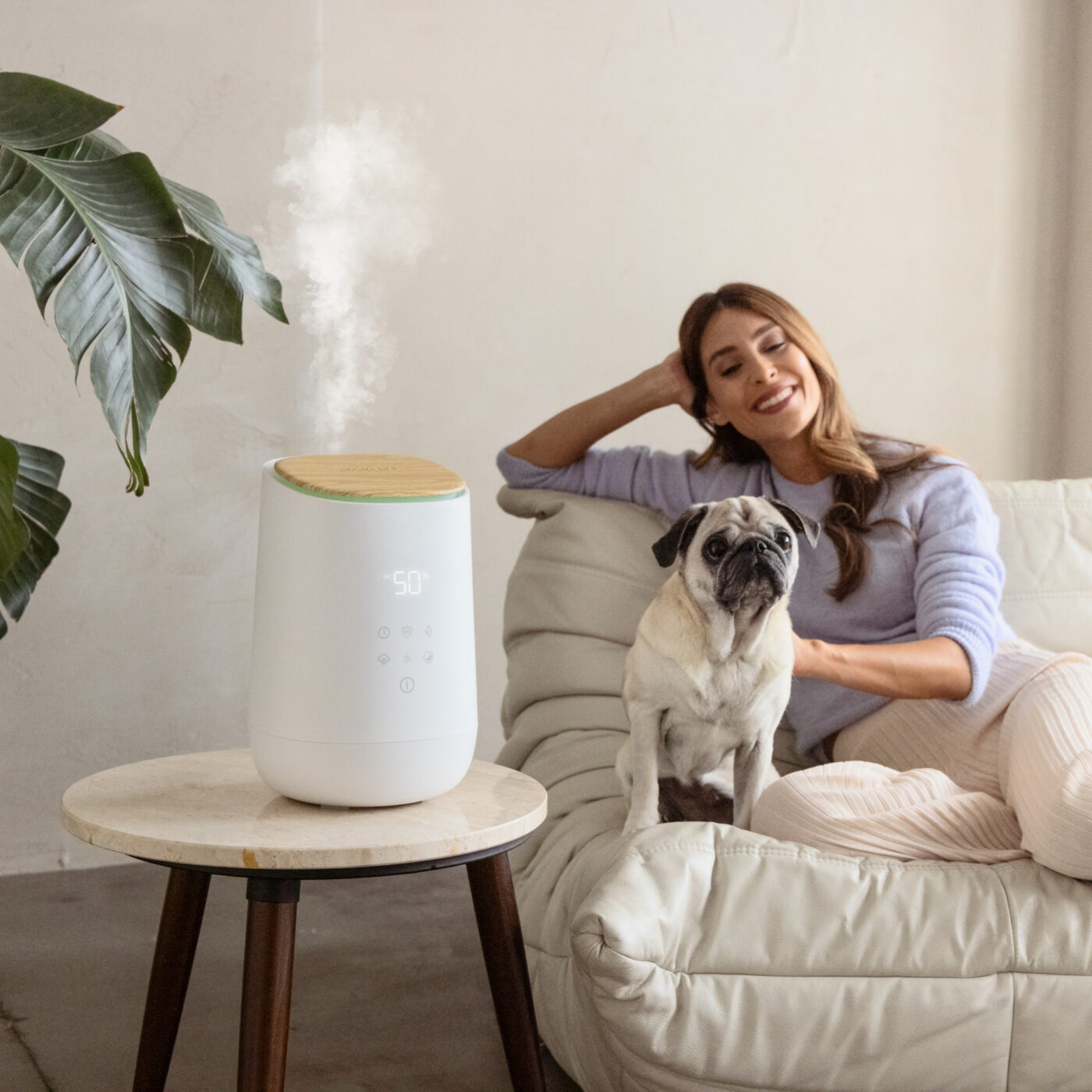 Optimale Raumfeuchtigkeit medisana Health Blog