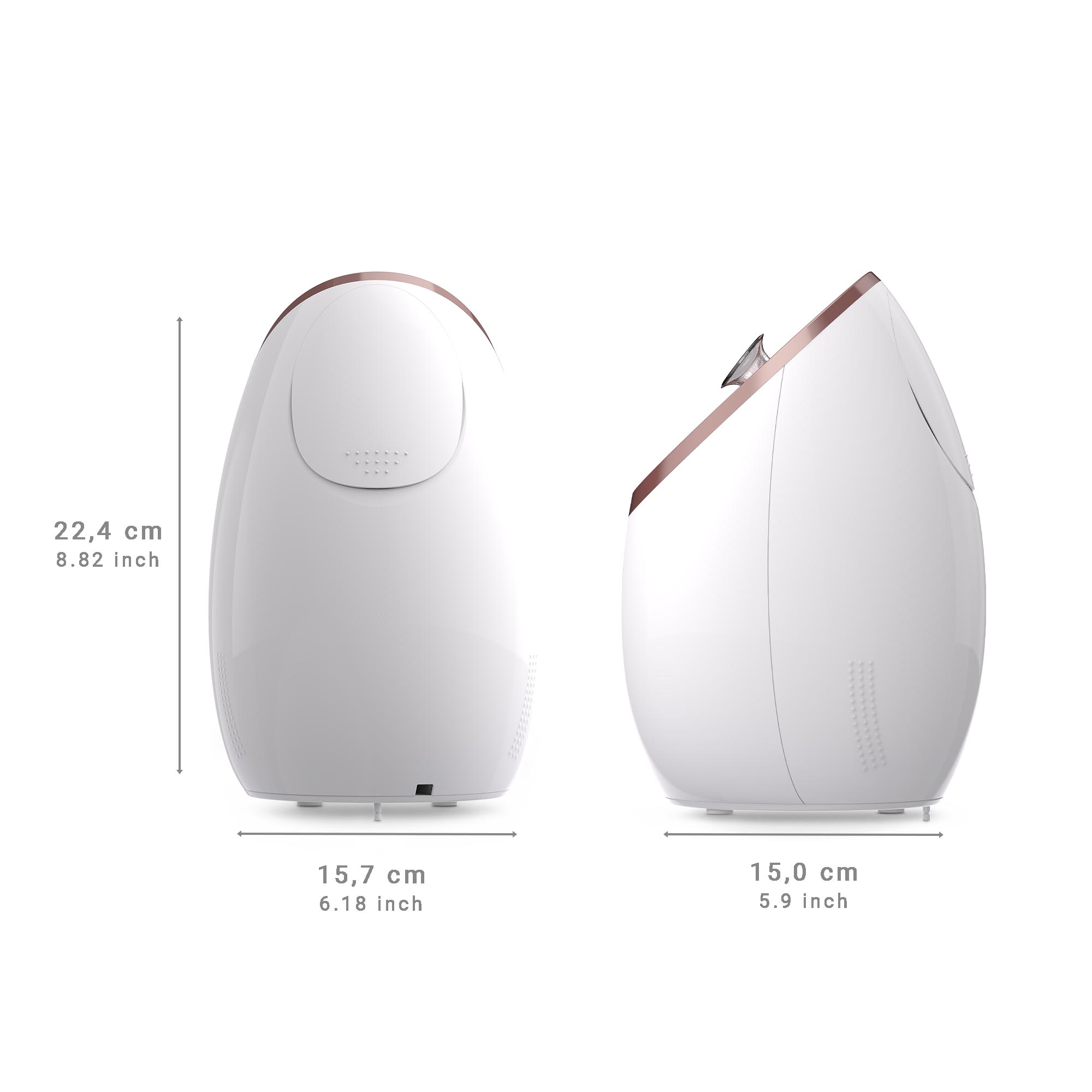 DS 600 | Nano-Ion Facial Sauna