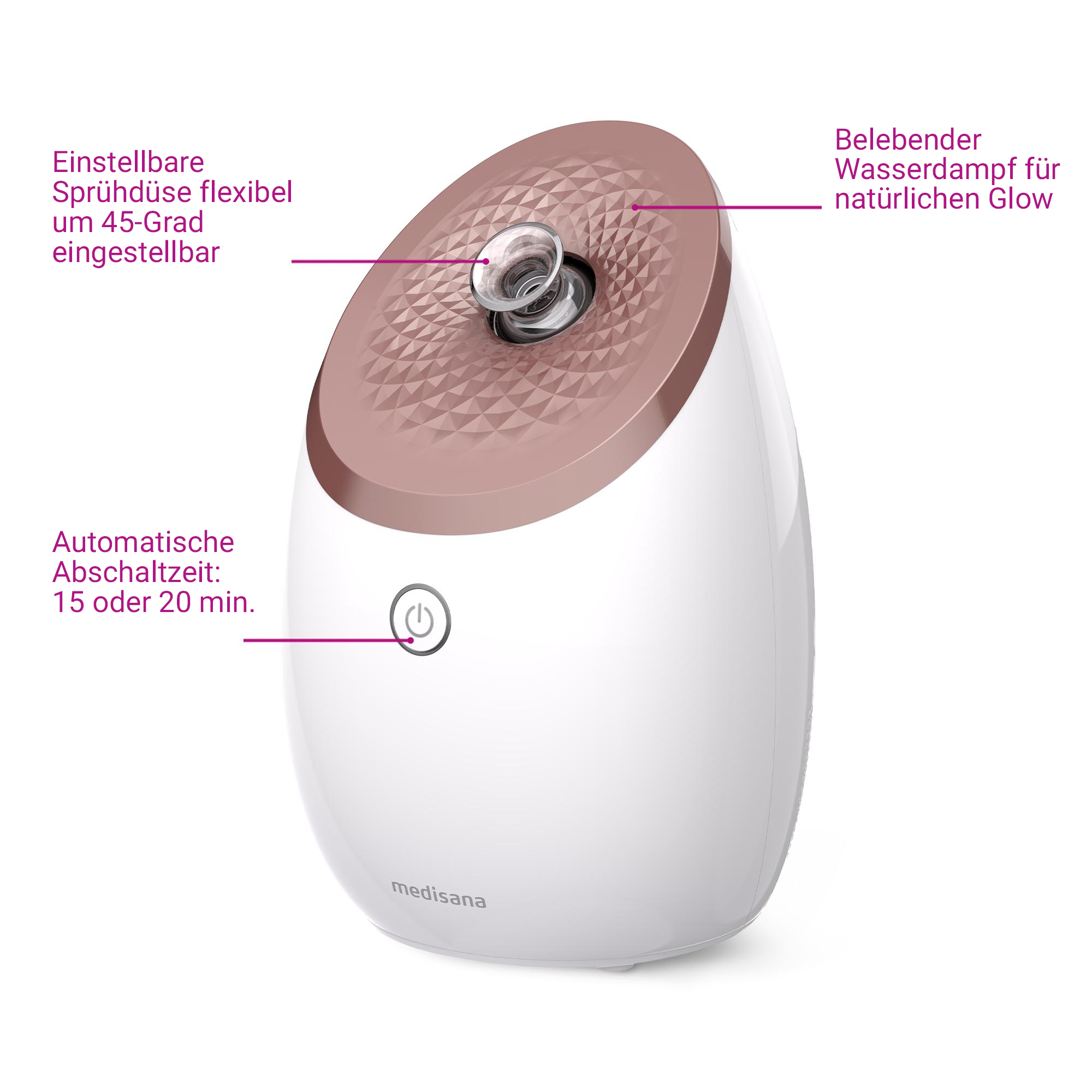 DS 600 | Nano-Ionen Gesichtssauna