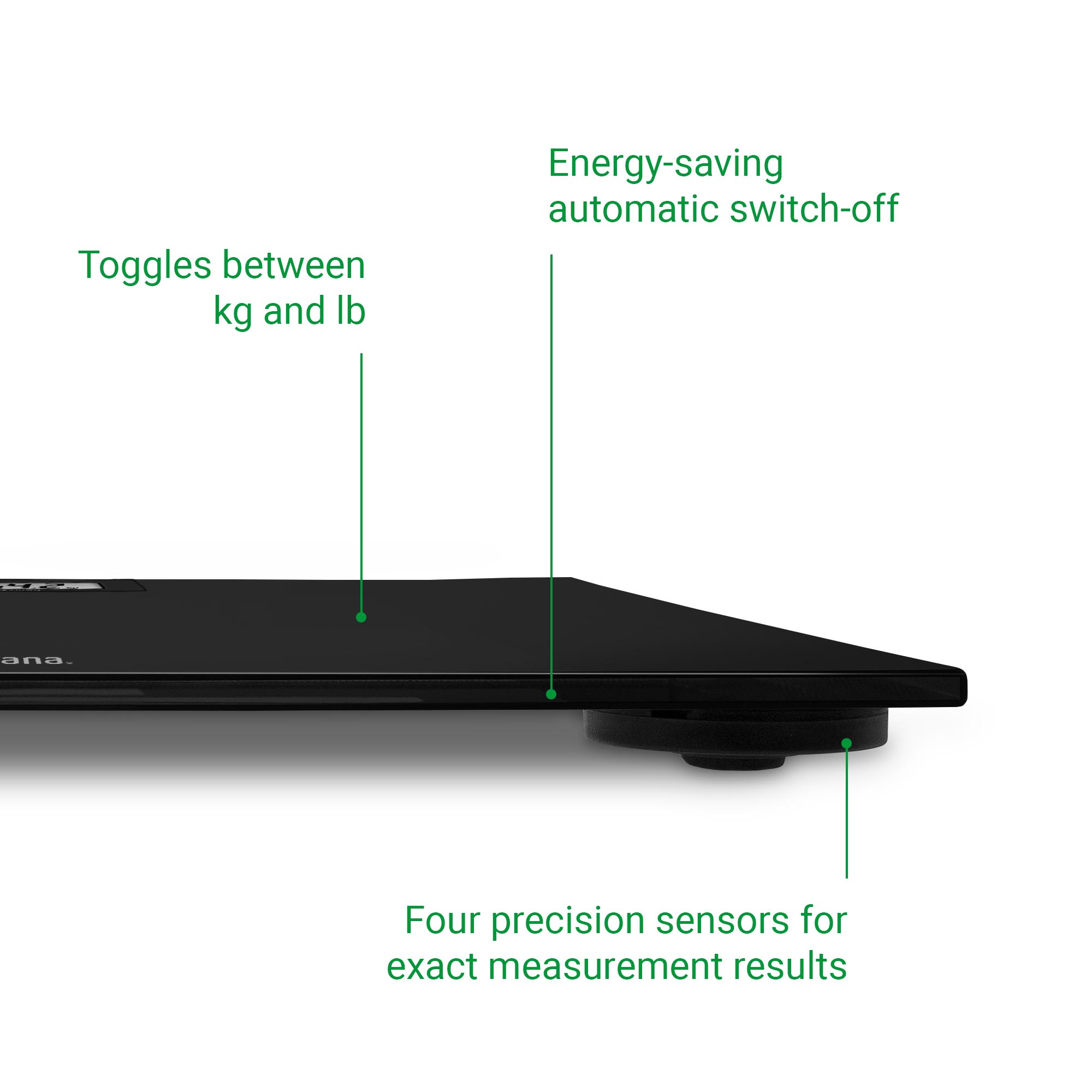 PS 402 | Personal Scale