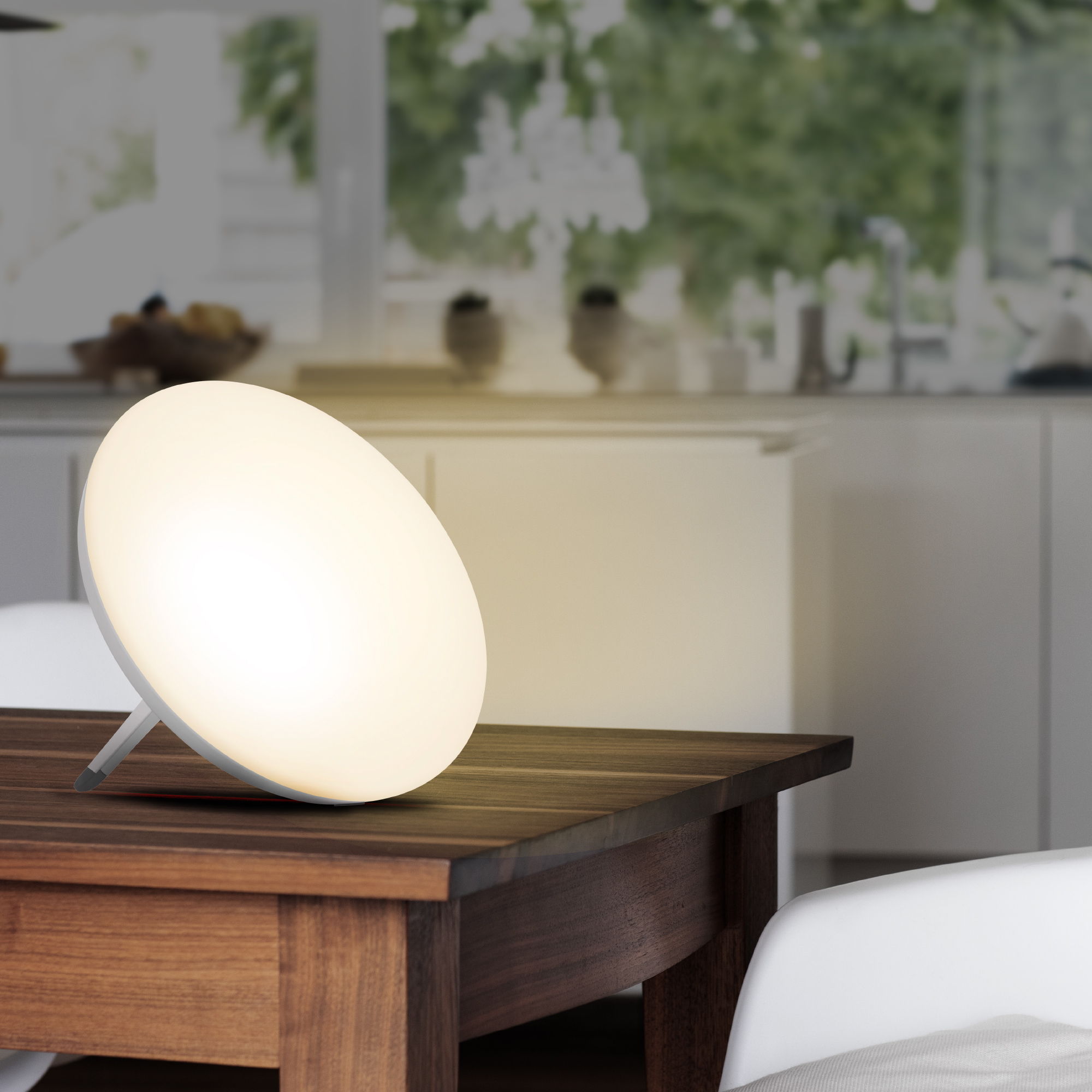 LT 500 | daylight lamp