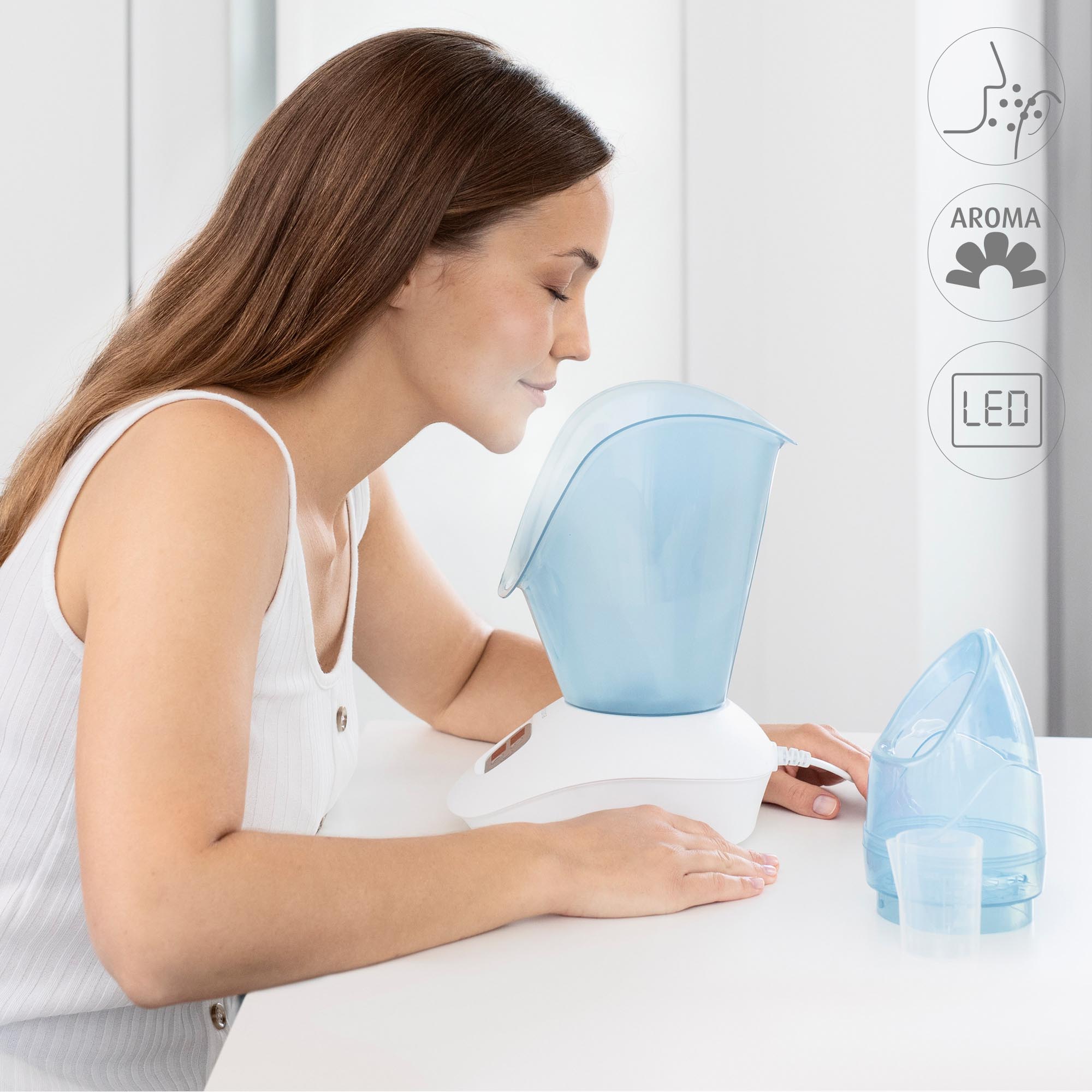 DS 400 | Facial Steamer